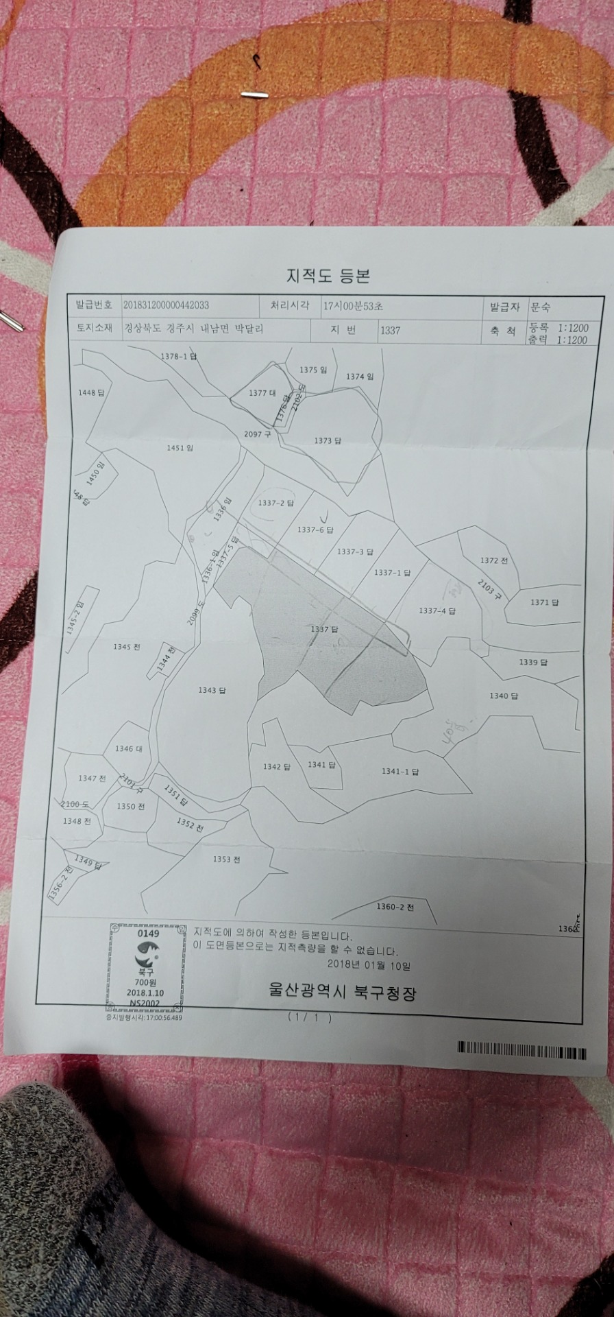 평면도
