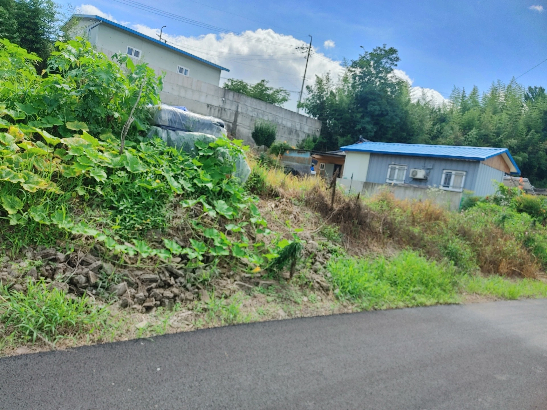 평면도