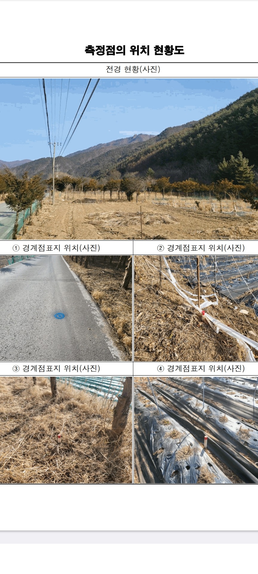 평면도