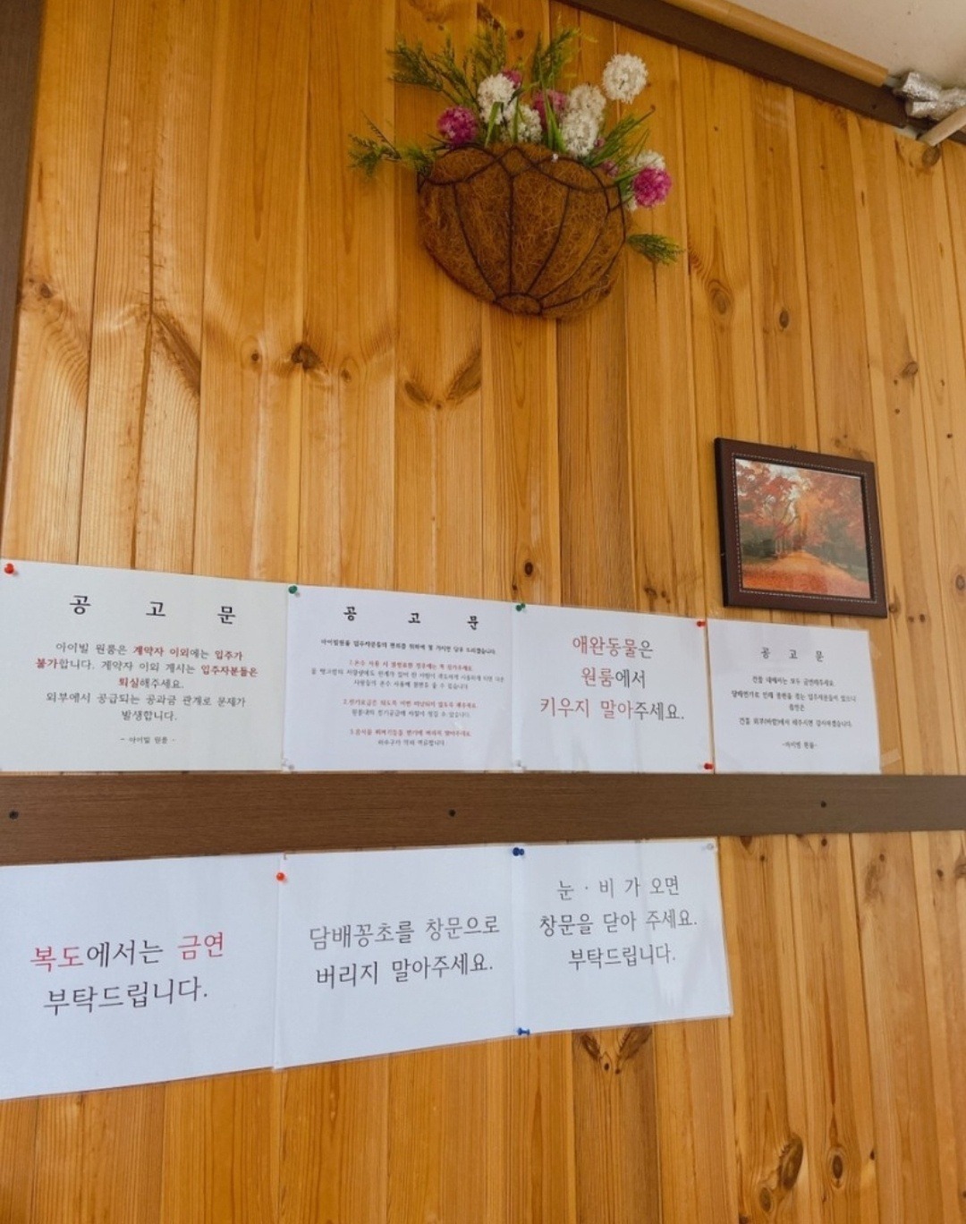 평면도